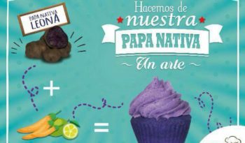 Kausa y mas completo