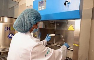 Bio Fab completo