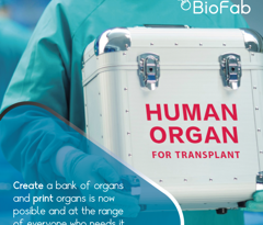 Bio Fab completo