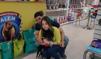 Veterinaria Alem completo