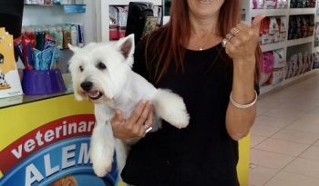 Veterinaria Alem completo