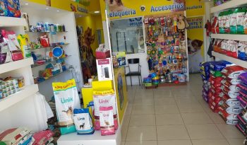 Veterinaria Alem completo