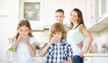 Doulton Water Filters completo