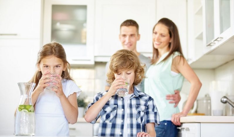 Doulton Water Filters completo