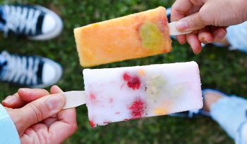 Paletas Jalisco completo