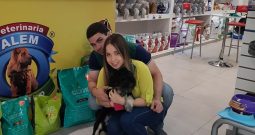 Veterinaria Alem