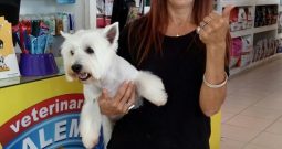 Veterinaria Alem