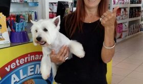 Veterinaria Alem