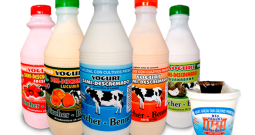 Bircher Benner