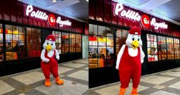 Pollito Regalón