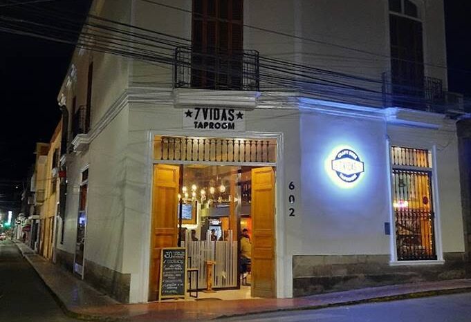 7 vidas Taproom completo