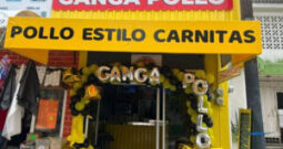 Ganga Pollo